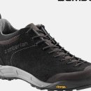 댕댕이숲 이미지