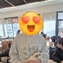 VIP아쿠아카페 | [김제] 햄찌들 핸들링이 가능한 '김제vip 아쿠아카페'후기 - 도마뱀*물고기분양