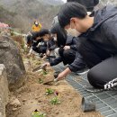 화개초등학교왕성분교장 이미지