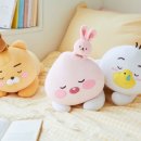 스윗바디 이미지