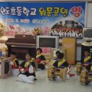 비안도초 이미지