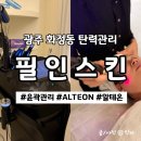 세븐일레븐 광주화정중앙점 | 광주 화정동 피부관리 필인스킨 에스테틱, 알테온 ALTEON 윤곽 탄력관리