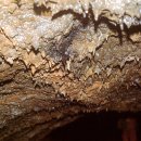 제주 한림 용암동굴지대 이미지