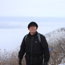푸른솔 떡방앗간 Daum카페
