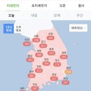 궁중한우 이미지