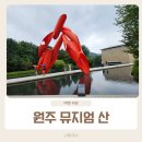 원주허브팜식물박물관(휴관) | 원주 가볼만한 곳 오크밸리 여행 코스 뮤지엄 산 할인 관람 후기