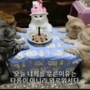 뜨개이야기 이미지