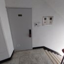 경기도 수원시 영통구 동탄원천로1109번길 37 (매탄동, 한국아파트) 이미지