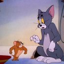 Tom and Jerry 이미지