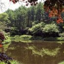 광릉금리원 이미지