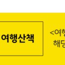 디브이 여행사