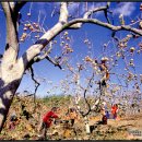 동읍1273 이미지