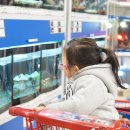 복댕이 유치원 이미지