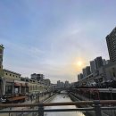 마이차돌 이미지