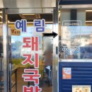 밀양역 | [내돈내산]경상남도 밀양|밀양역 근처 현지인 추천 돼지국밥집|예림 돼지국밥 솔직 후기