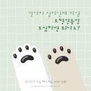 더블유동물의료센터 이미지