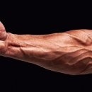 해부학적운동 목동점 이미지