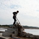 (주) 태평소금