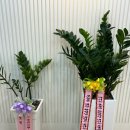 여수 학동 위드림 필라테스 원데이레슨 찐후기
