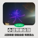대구광역시 관광협회 | [대구 수성구 축제] 2025년 제 7회 수성빛예술제(with 대구시티투어 시대유람 타임슬립 특별코스)