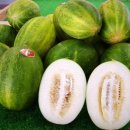 청송상회 이미지