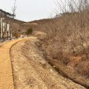 바베큐가이즈 이미지