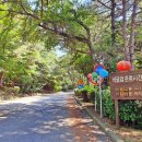 라라랜드 풀빌라 이미지