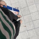 카코이돈부리과천점 | 수영 6회차, 자유형을 터득하다
