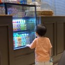 22개월 아기랑 분당 갈만한곳 :: 키즈카페 노리파크 분당야탑점 가성비 굳