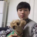 몽퍼피 이미지