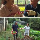 박영철농장 이미지