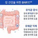 속편한건강식품