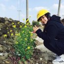 백사파출소 앞 | 3박4일 제주도 뚜벅이 여행 셋째,넷째날 #여행코스추천#제주도여행후기#우도맛집#성산맛집