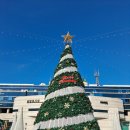 남양주시청 1청사 이미지