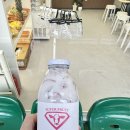 카페프룻