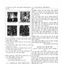 신길고등학교 이미지