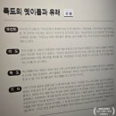 독도 | 영등포아트스퀘어 독도체험관 방문 후기