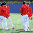 에스케이 밥심 이미지