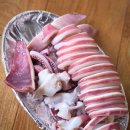 공덕 포장마차｜맛도 있고 멋도 있는 한전 마포용산지사 앞 벗꽃 야장 &#39;마포집&#39;