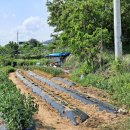 동구농장 이미지