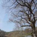 요셉어린이집 이미지