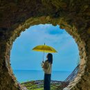 피노키오박물관(하슬라아트월드) 이미지