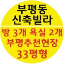 세영청과 이미지
