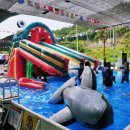 호미곶온천랜드 이미지