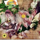 눈꽃초밥 이미지