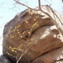 반산초등학교 이미지