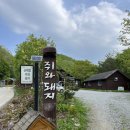 곰배령 쥐와 돼지 이미지