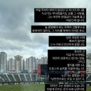 버르짱머리
