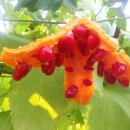 봄여름가을이야기 이미지