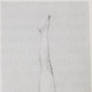 아란야 요가 이미지